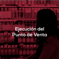 ejecucion_punto_venta